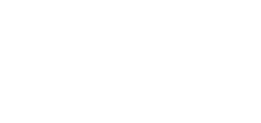 Logo - IBS